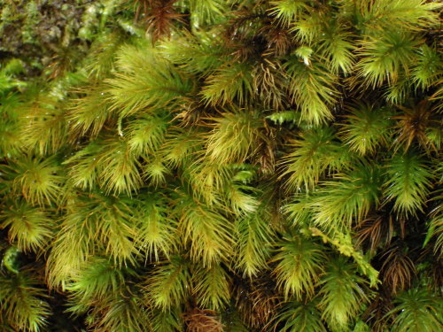 e0352220_14344085.jpg
