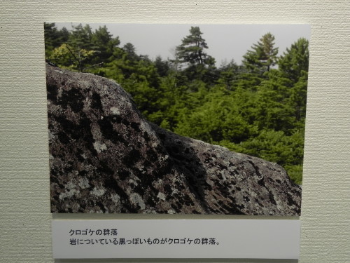 e0352220_14550496.jpg