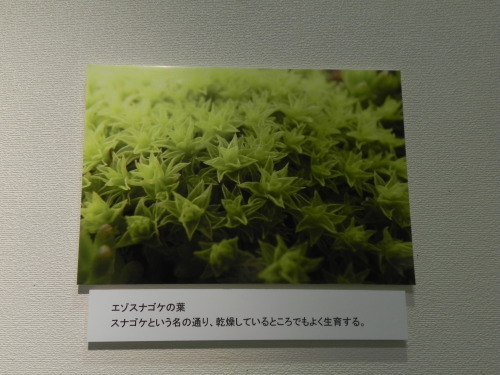 e0352220_15001792.jpg