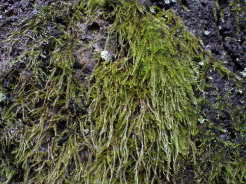 e0352220_20320802.jpg