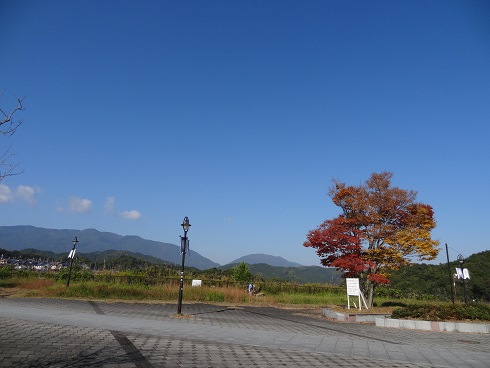 f0000521_10535847.jpg