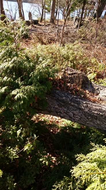 b0251624_21553874.jpg