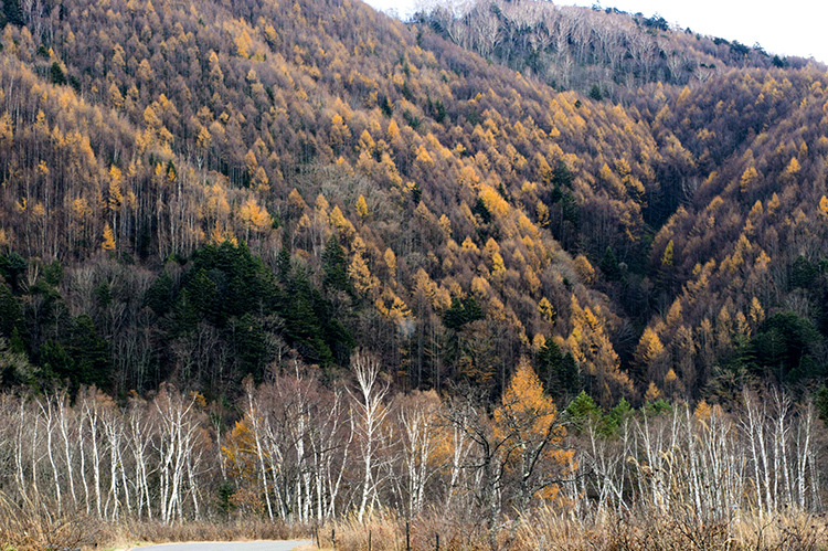 d0265224_22275065.jpg