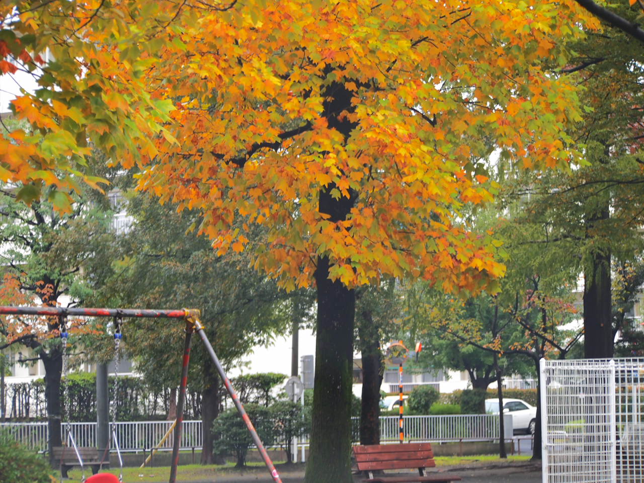 a0214329_14402382.jpg