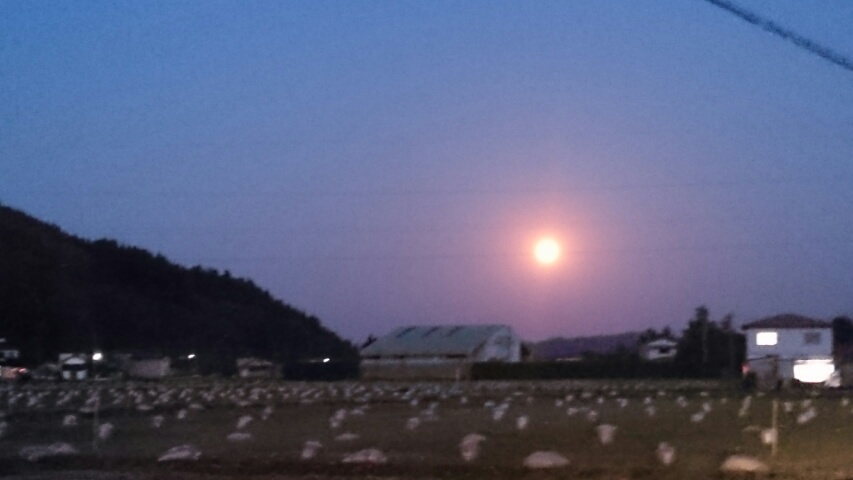 c0167336_2144223.jpg