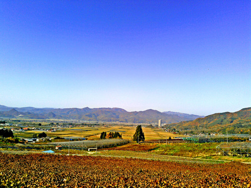 f0041138_21295641.jpg