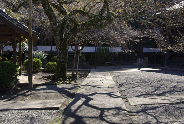 c0281841_1404253.jpg
