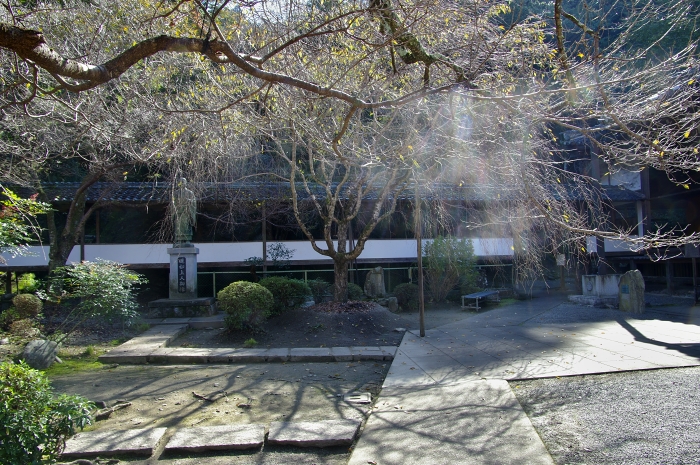 c0281841_1405181.jpg