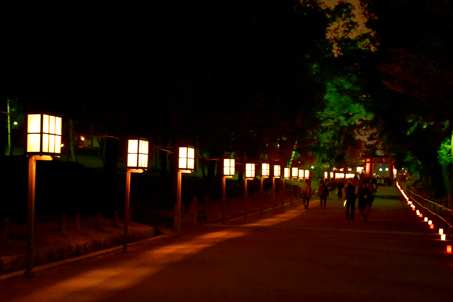 a0100742_1032855.jpg
