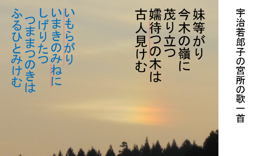 a0237545_11275419.png