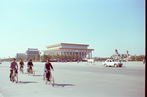 d0038545_11012657.jpg