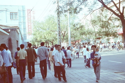 d0038545_11032389.jpg