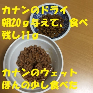 f0372445_11383024.jpg