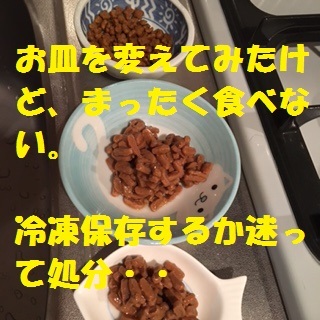 f0372445_11383385.jpg