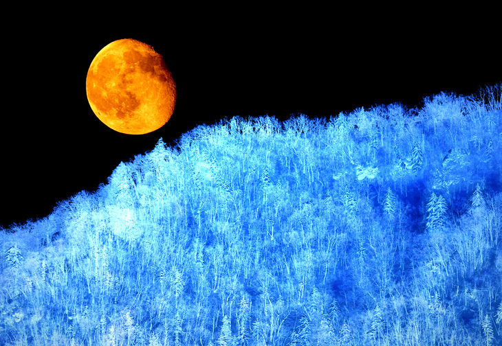 c0185246_1305329.jpg