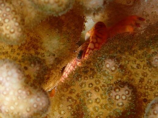 b0236647_14364882.jpg