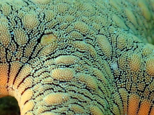 b0236647_14425383.jpg