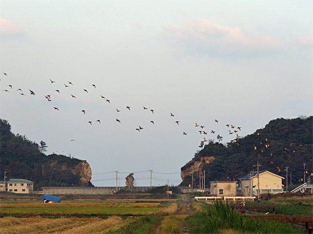f0214649_4535773.jpg