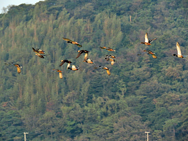 f0214649_4562030.jpg