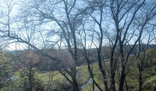f0329849_14514002.jpg