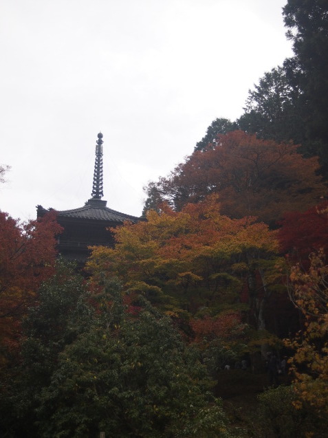 b0246758_16454335.jpg