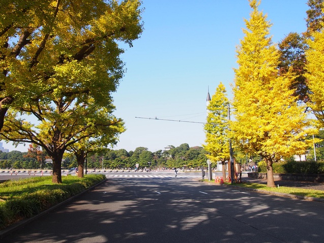 f0043559_1063475.jpg