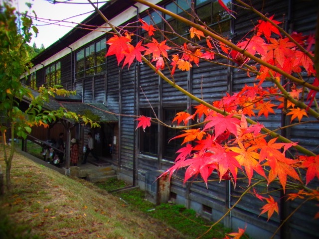 b0238760_09561823.jpg