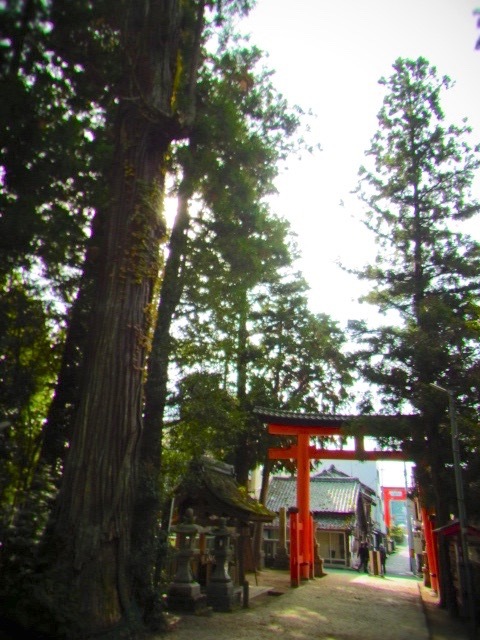 b0238760_10035257.jpg