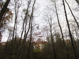 d0045362_2219538.jpg