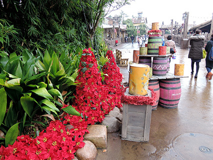 b0059664_19411690.jpg