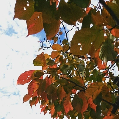 d0033068_21444491.jpg
