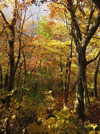 f0302771_21454267.jpg