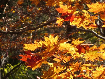 f0302771_2146239.jpg