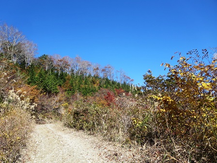 f0302771_21512054.jpg
