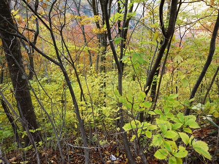 f0302771_2152502.jpg