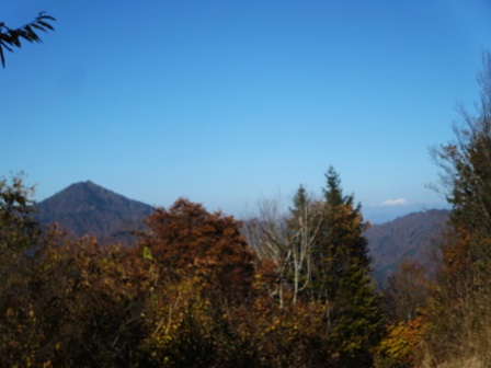 f0302771_215279.jpg