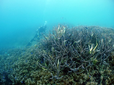 b0033573_21520426.jpg