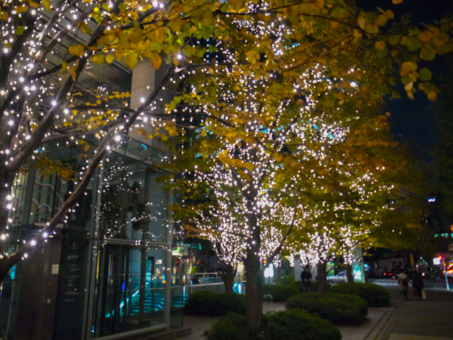 b0247073_2314497.jpg