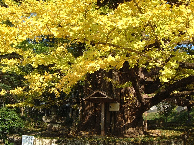 c0248473_16325870.jpg