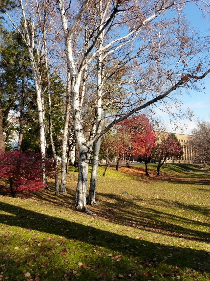 d0084473_14114821.jpg
