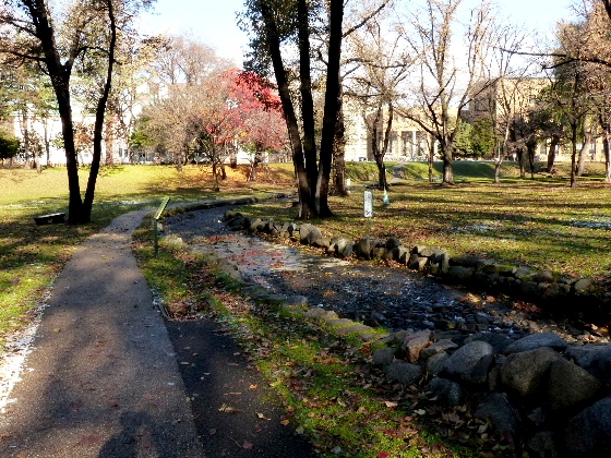 d0084473_1412870.jpg