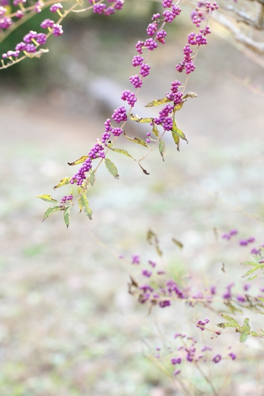 f0350585_23175256.jpg