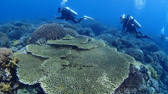 a0109187_17510047.jpg