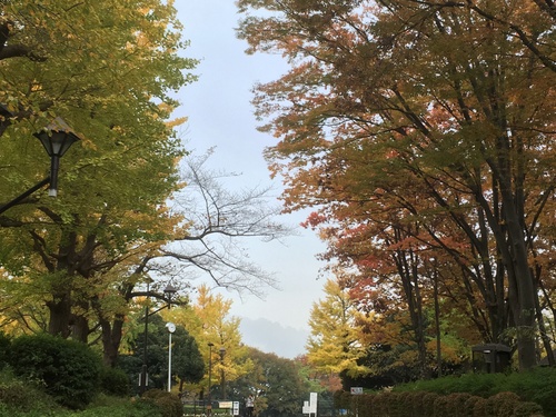 c0123890_20152657.jpg
