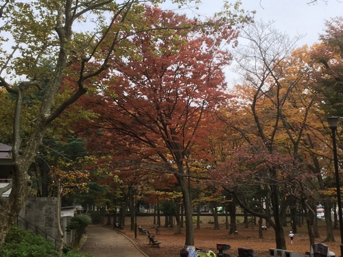 c0123890_2015479.jpg