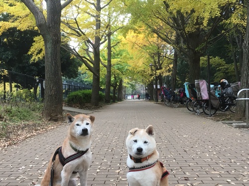 c0123890_20352049.jpg