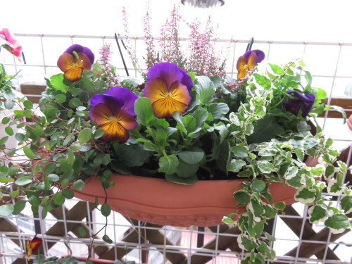 f0204295_08595794.jpg