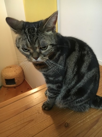 c0011300_23121295.jpeg