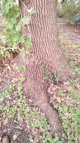 e0351303_20471381.jpg
