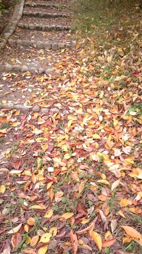 e0351303_20521195.jpg